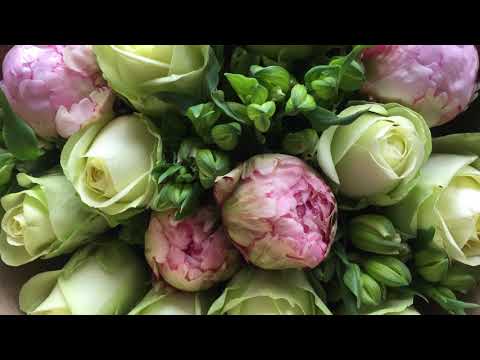 11A Shore Road, Remuera