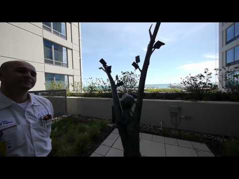 The green roof garden at 600 Lake Shore Drive, Chicago