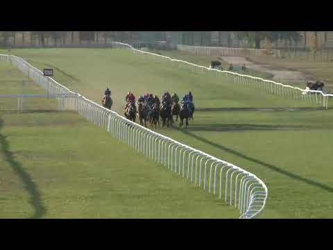 2018.10.14. 09. futam - MAGLÓDI DÍJ (III.kat.)