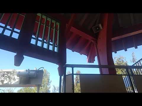 Ninja short video by Keith's Transit Experiences