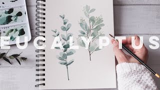 How To Paint Eucalyptus| Watercolor Techniques Explained