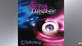 Steve Lukather - Never Let Them See You Cry [HQ]