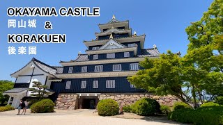 日本三名園の後楽園と岡山城をぶらぶら散歩し、癒されました。