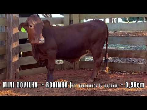 Produto sem imagem