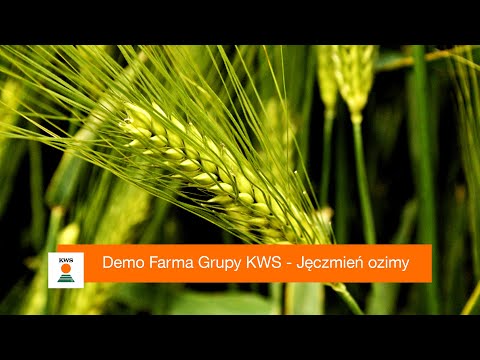 Demo Farma Grupy KWS  - Jęczmień ozimy