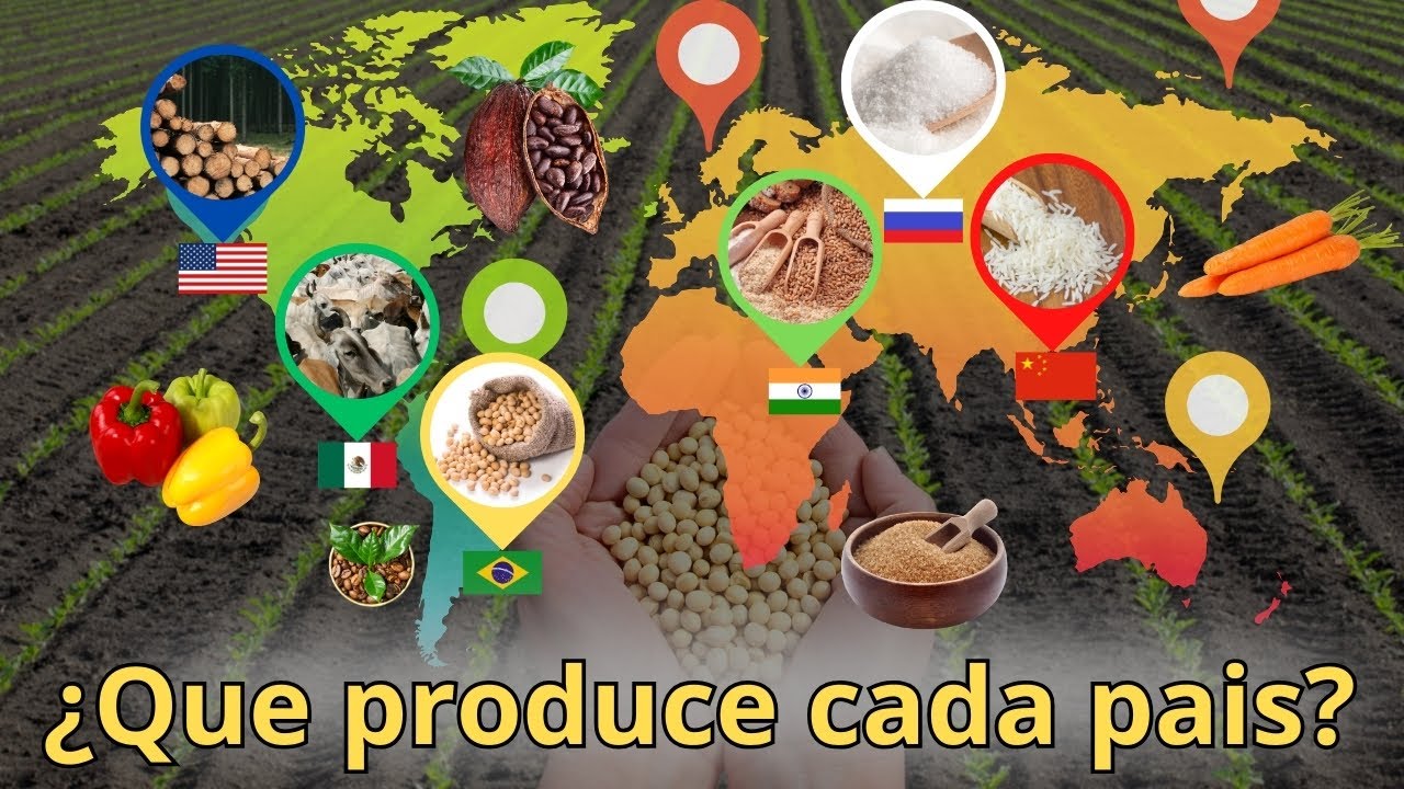 Los 10 países que alimentan al mundo.  Principales países exportadores de agricultura en el mundo
