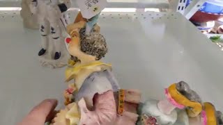Thrifting at Saver's On Long Island