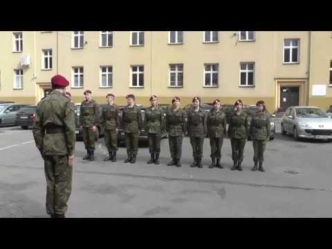 Pokaz musztry wojskowej - Dzień Otwarty szkół ANIMATOR w Gliwicach [28.03.2015]