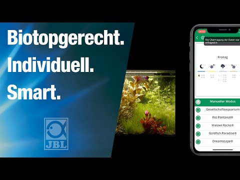 JBL TV #42:  App gesteuerte Beleuchtung im Aquarium - Mehr als nur eine Zeitschaltuhr