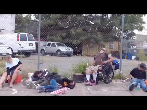 Fentanyl epidemic in the United States