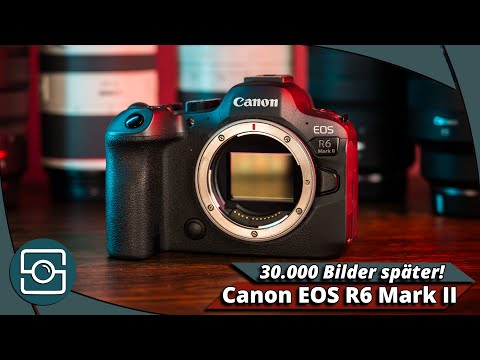 30.000 Bilder später! – Canon EOS R6 Mark II Langzeit-Review