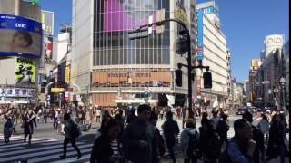 Shibuya crossing