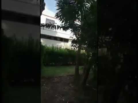 Gotitas de amor para el corazón. Inspirada en la lección 303 de Ucdm. Andrea Díaz Restrepo