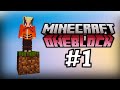Minecraft Mbijetimi ne nje BLOCK te Vetem!!! [OneBlock:Survival #1]