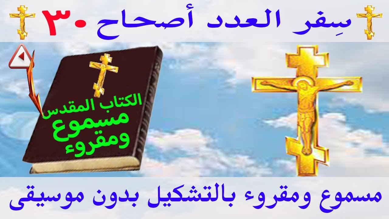 فيديو تفسير الكتاب المقدس | الكتاب المقدس رفيقي
