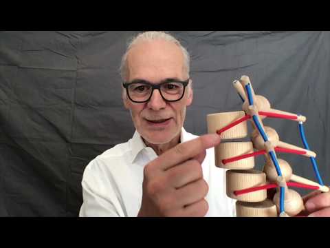 R. Schleip: Faszination Faszien - Wirbelsäule - Klinische Anwendung bei Skoliosen, Haltungsfehlern