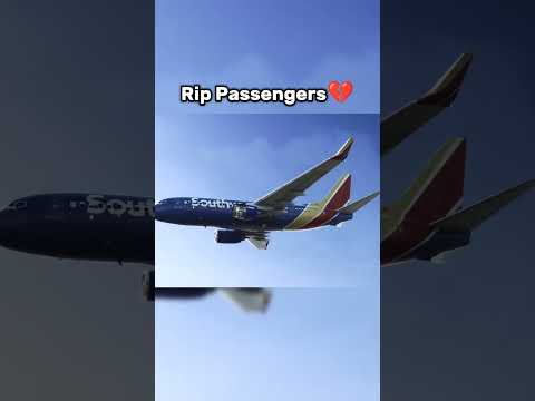 They saved the whole Plane🗿 PT7 #aviation #aeroplane