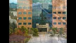preview picture of video '올하루&Allharu 38번째, 조선이공대학교 캠퍼스투어 Choson College of Science & Technology, Gwangju, Republic of Korea'