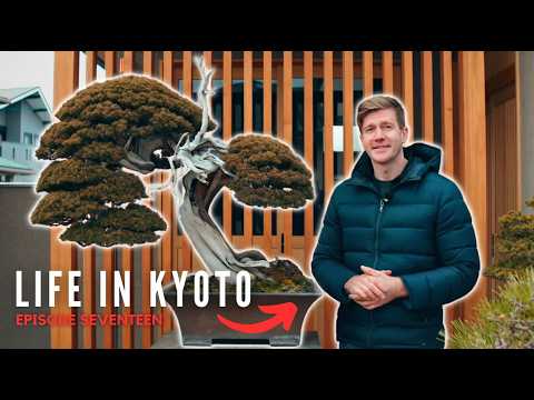 The First Walkthrough of Eisei-en Kyoto Bonsai Garden
