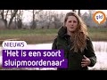 Natuurgebied Koolmansdijk heeft last van sluipmoordenaar