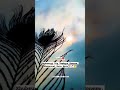 Aaja Sanam Madhur Chandani Old New Mix Song Status New Trending Flute Tune Status WhatsApp Status