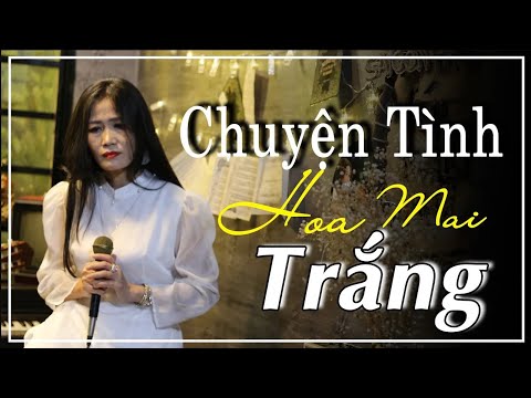 Chuyện tình hoa mai trắng - Sao Mai