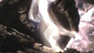 Warrior (not performed by Caedmon&#39;s Call)