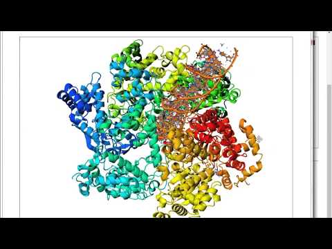 PDB Reader Tutorial 2 - Heterogens and CSML Search (5TCT)