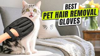 3 BEST Pet Hair Removal Gloves