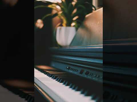 Danilo Stankovic - Pieces [10 Hours]