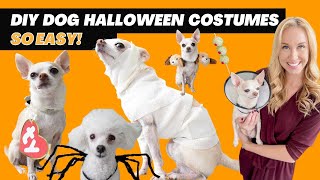 5 Easy DIY Dog Halloween Costumes (Budget Friendly!) | Proud Dog Mom