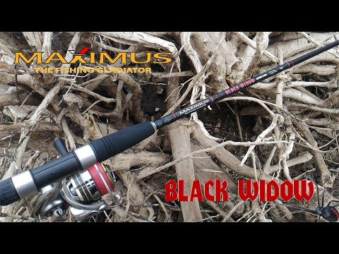 Maximus Black Widow 24ML