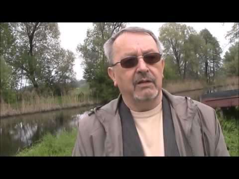 Turniej czterech zawody wędkarskie w Zbąszyniu 12.05.2013 r.