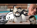 Pingwiny Z Madagaskaru Przeróbka Ytp