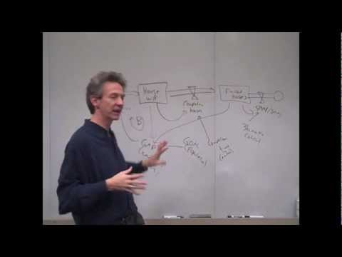 Intro to System Dynamics Video 14d - Delays and Oscillation