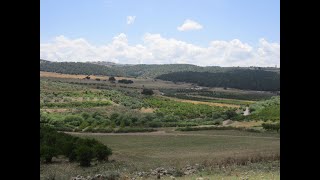 זכור דבר לעבדך על אשר ייחלתני (אהבת עולם תביא להם - ניגוני נשמה ושמחה. דן בזק) - התמונה מוצגת ישירות מתוך אתר האינטרנט יוטיוב. זכויות היוצרים בתמונה שייכות ליוצרה. קישור קרדיט למקור התוכן נמצא בתוך דף הסרטון