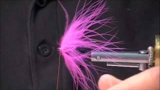 Simple Marabou with Jay Nicholas