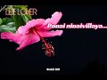 Sembaruthi Poove Tamil Love Whatsapp Status
