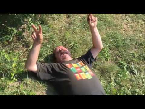 degustacja piwa bezalkoholowego przez Poziomkę