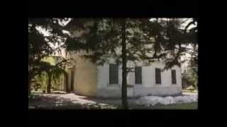 Va' dove ti porta il cuore