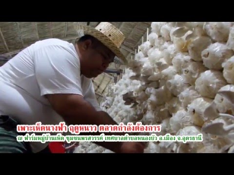 ฉันมีผู้ชายกระเจี๊ยวใหญ่และไข่ที่มีขนาดเล็ก ซื้อเชื้อโรคในหยดสำหรับผู้หญิงที่จะต้องการ
