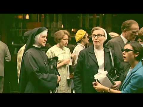 Reinier Zonneveld - Slow Loris [Stil vor Talent]