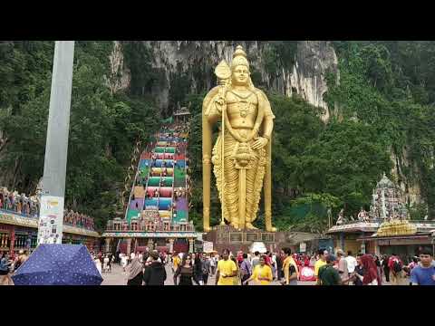 Batu Caves Doves Malaysia | Pigeons Feeding place at Batu Caves in Malaysia