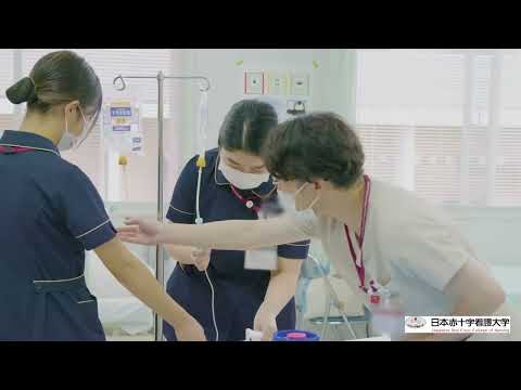 看護学部紹介（ダイジェスト版）｜日本赤十字看護大学