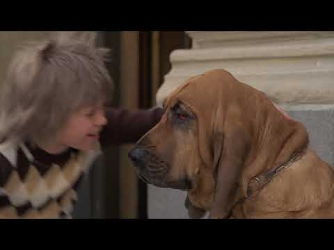 Karlsson på taket - Bara en liten hund - Officiell musikvideo!