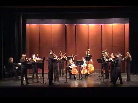 PYO Youth Orchestra- Don Quixote Suite ~ George Philip Telemann