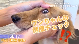 ワンちゃんの健康チェックプチ講座