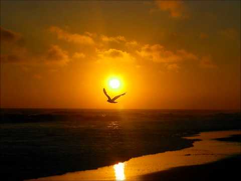 Dove Beat - La Paloma (Ocean Remix)
