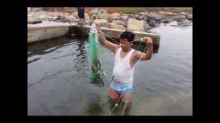 파도를훔친바다 적우1집