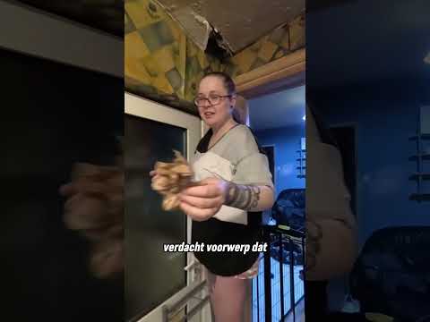 Dit meisje ontdekte een vreemd pakket aan het plafond 😮